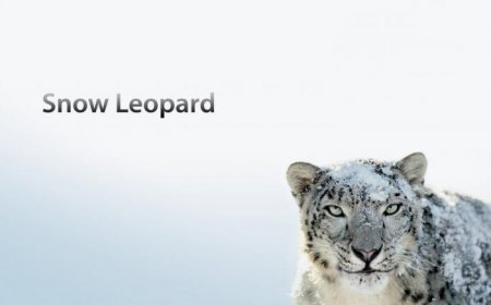   Mac OS X Snow Leopard ( ) 2009 : , , 