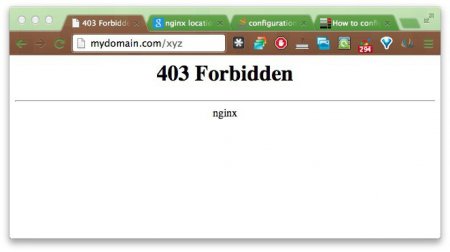 403 Forbidden Nginx:      ?