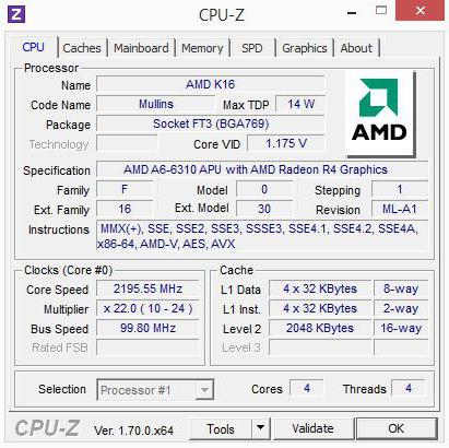  AMD A6-6310: ,     