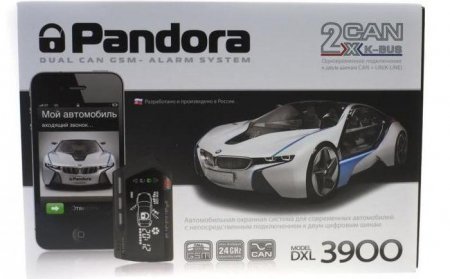    Pandora DXL-3900: , , ,   