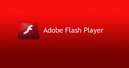Browser Plug-Ins: Adobe Flash Player. , ,  -   ?