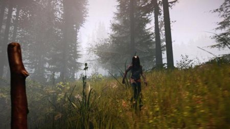  The Forest: ,  ,  