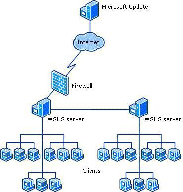 Windows Server Update Services (WSUS): . WSUS Offline Update
