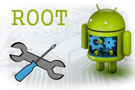  root:         