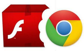   Flash Player  Google Chrome:   