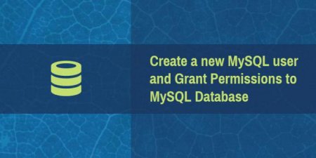  MySQL:       