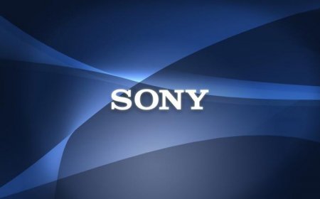   Sony Cyber Shot DSC-W830: 
