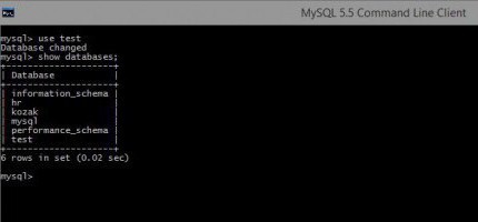 MySQL -   Windows