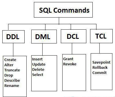 "ϳ " DML- Update MySQL