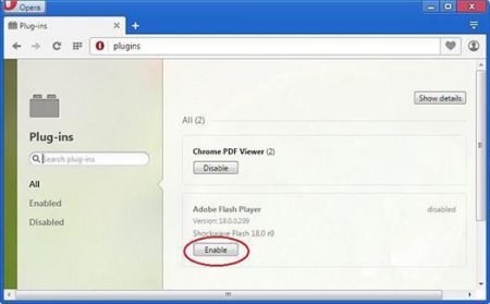 Adobe Flash Player: як включити. Детальна інструкція