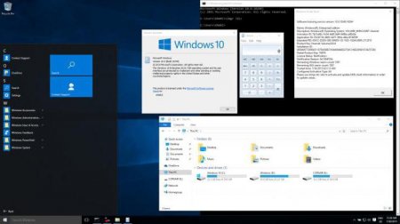LTSB:    Windows 10?
