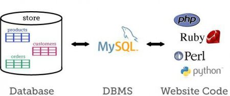 MySQL -      ?