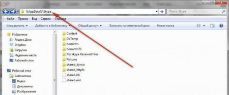  AppData/Skype -  ?  