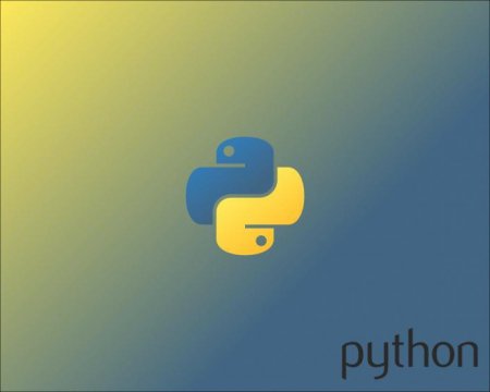     Python. Input  print