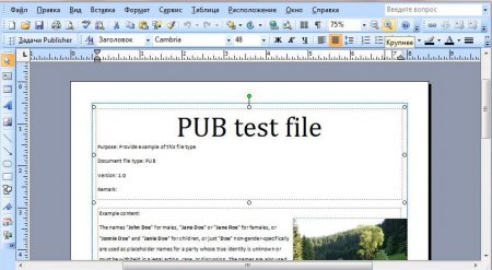 Чим відкрити файл PUB? Дві програми
